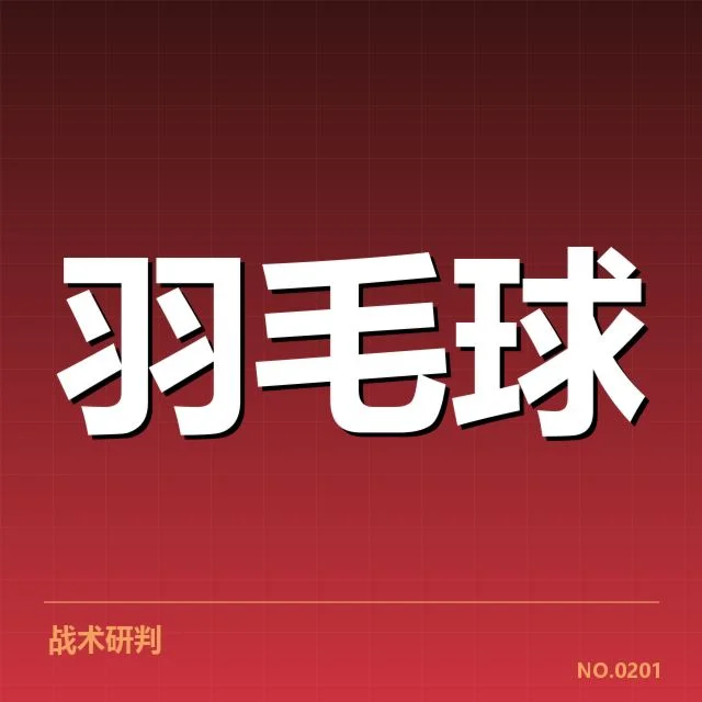 已确认的战术组合与策略运用